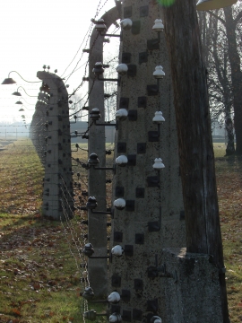 Cerca Eléctrica en Auschwitz-Birkenau